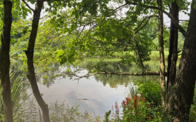 Word to Action 2026 – Beaver, PA Edition 